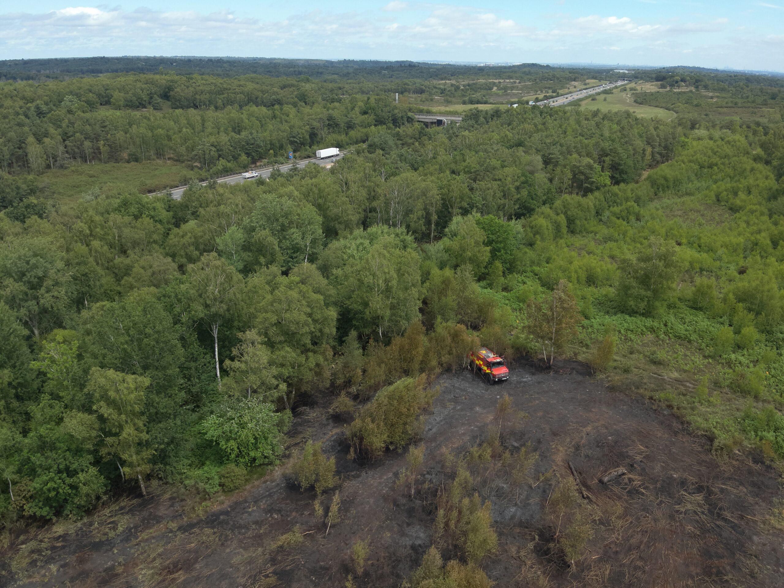Surrey's Wildfire Crisis: Prevention and Picnic Prize